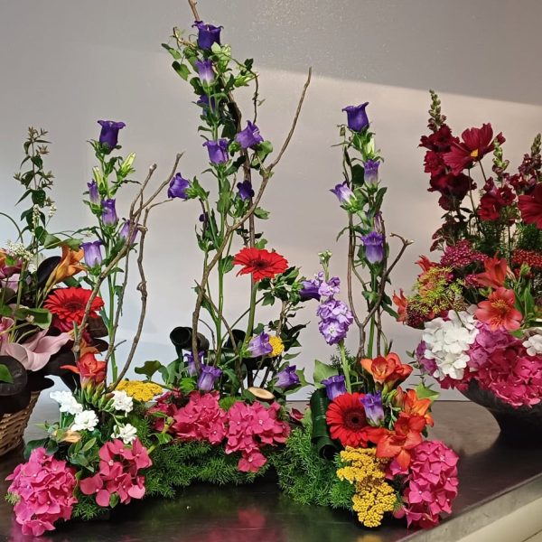 compo diverses arbin